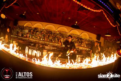 Dia de Muertos party at Revolucion Cocktail  — photo 83