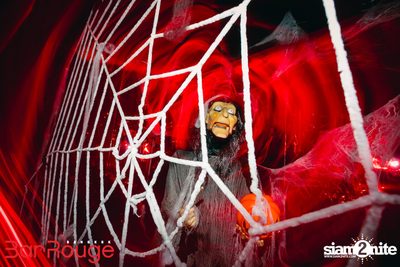 ภาพบรรยากาศงาน Naughty Halloween ที่ Bar Rouge Bangkok — photo 12