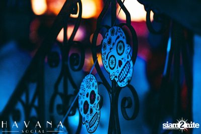 ภาพบรรยากาศงาน Dia De Los Muertos ที่ Havana Social — photo 63