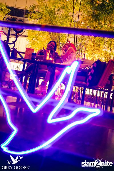 ภาพบรรยากาศงาน Grey Goose Presents Kolour Halloween 2023 ที่ Escape Bangkok — photo 18