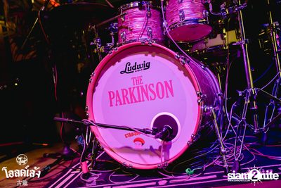 The Parkinson concert at Old Leng — photo 72