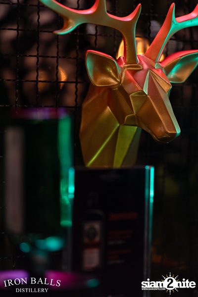 ภาพบรรยากาศงาน Ladies Night ft. Bangkok Invaders ที่ Iron Balls Distillery  — photo 23