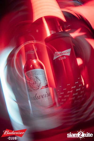 ภาพบรรยากาศงาน Budweiser Club presents Bowkylion concert ที่ Chongjaroen Groove — photo 54