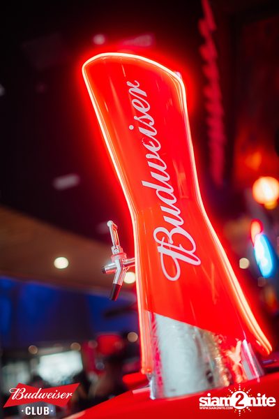 ภาพบรรยากาศงาน Budweiser Club presents Bowkylion concert ที่ Chongjaroen Groove — photo 189