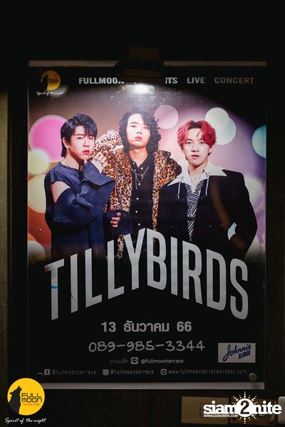 Tilly Birds concert at Fullmoon Terrace & Bar — photo 1