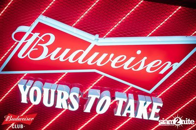 Budweiser Club presents Live Concert of Bowkylion at Tiger Ekamai — photo 12