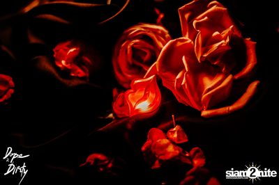 Valentine Party at Dope & Dirty — photo 8