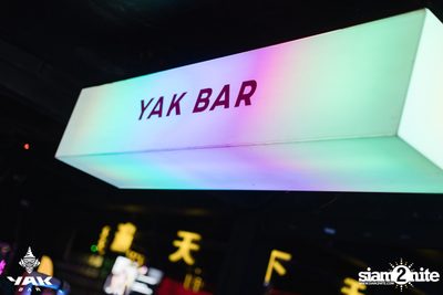 D Gerrard concert at Yak Bar — photo 108