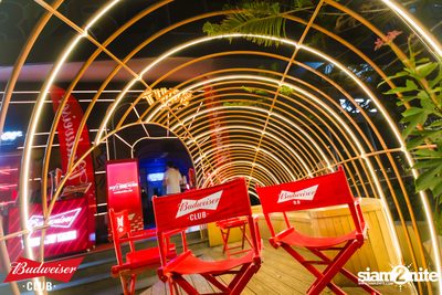 ภาพบรรยากาศงาน Budweiser Club presents Live Concert of Bowkylion ที่ TUBE Music Bar — photo 1