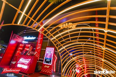 ภาพบรรยากาศงาน Budweiser Club presents Live Concert of Bowkylion ที่ TUBE Music Bar — photo 26