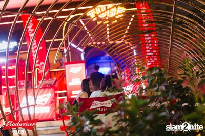 ภาพบรรยากาศงาน Budweiser Club presents Live Concert of Bowkylion ที่ TUBE Music Bar — photo 74