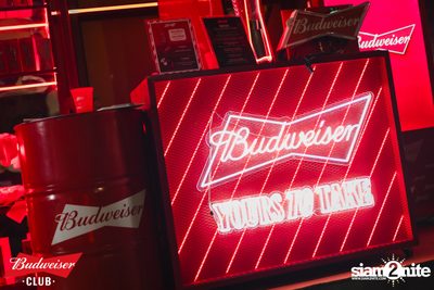 ภาพบรรยากาศงาน Budweiser Club presents Live Concert of Bowkylion ที่ TUBE Music Bar — photo 75