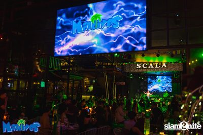 Violette Wautier Concert at Maldives Bar Mengjai — photo 94