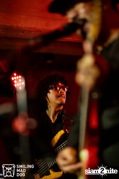 The Parkinson concert at Bottle Rockets — photo 61