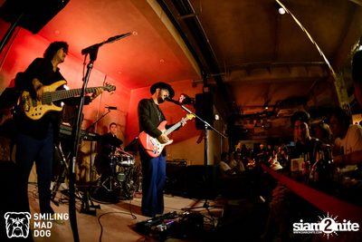 The Parkinson concert at Bottle Rockets — photo 71