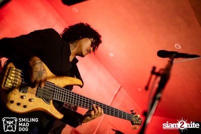 The Parkinson concert at Bottle Rockets — photo 93