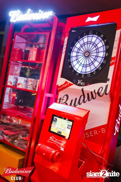 Budweiser Club presents Live Concert of Tattoo Colour at Chilling House Cafe — photo 67