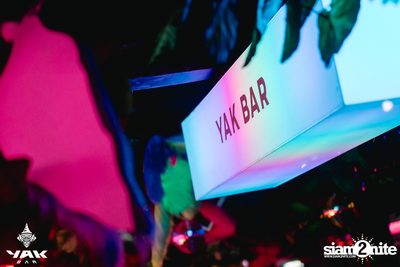 Bedroom Audio Concert at Yak Bar — photo 55