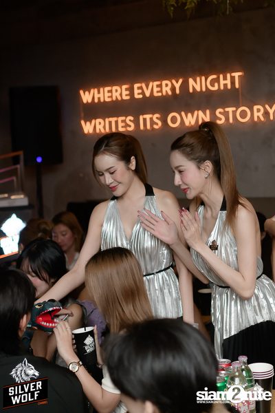 ภาพบรรยากาศงาน Silver Wolf presents Indigo Concert ที่ Viral Kaset — photo 1