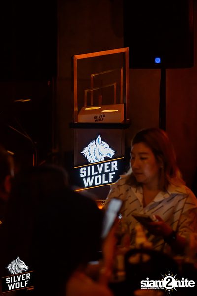 ภาพบรรยากาศงาน Silver Wolf presents Indigo Concert ที่ Viral Kaset — photo 3