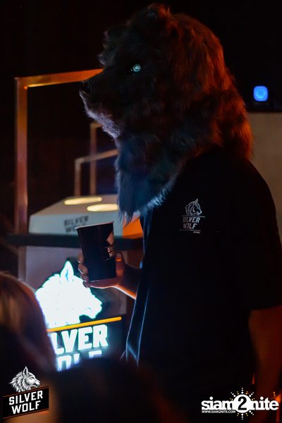 ภาพบรรยากาศงาน Silver Wolf presents Indigo Concert ที่ Viral Kaset — photo 15