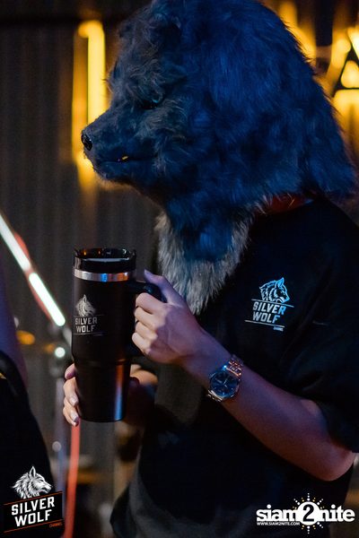 ภาพบรรยากาศงาน Silver Wolf presents Indigo Concert ที่ Viral Kaset — photo 21