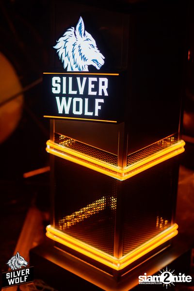 ภาพบรรยากาศงาน Silver Wolf presents Indigo Concert ที่ Viral Kaset — photo 29