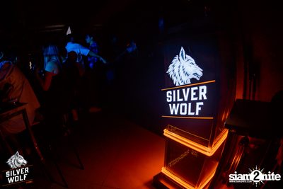 ภาพบรรยากาศงาน Silver Wolf presents Indigo Concert ที่ Viral Kaset — photo 33
