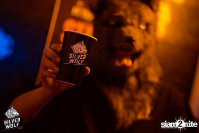 ภาพบรรยากาศงาน Silver Wolf presents Indigo Concert ที่ Viral Kaset — photo 36
