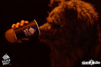 ภาพบรรยากาศงาน Silver Wolf presents Indigo Concert ที่ Viral Kaset — photo 37