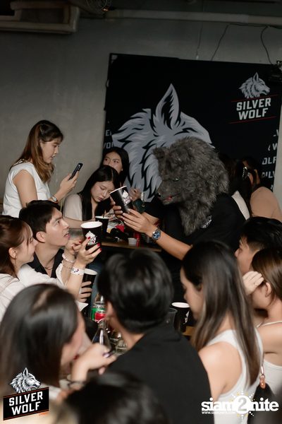 ภาพบรรยากาศงาน Silver Wolf presents Indigo Concert ที่ Viral Kaset — photo 54