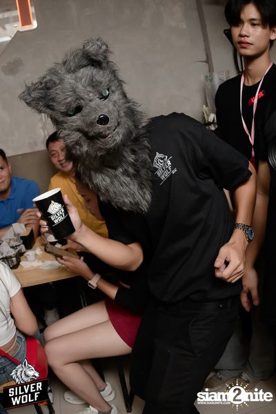 ภาพบรรยากาศงาน Silver Wolf presents Indigo Concert ที่ Viral Kaset — photo 56