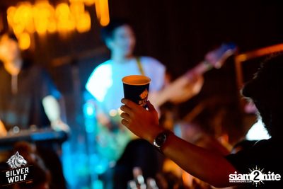 ภาพบรรยากาศงาน Silver Wolf presents Indigo Concert ที่ Viral Kaset — photo 58