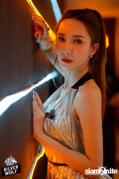 ภาพบรรยากาศงาน Silver Wolf presents Indigo Concert ที่ Viral Kaset — photo 61