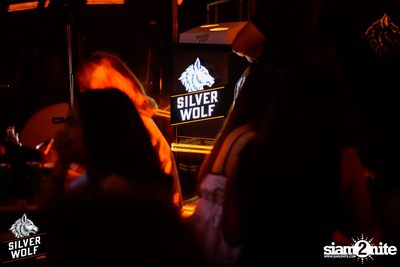 ภาพบรรยากาศงาน Silver Wolf presents Indigo Concert ที่ Viral Kaset — photo 67
