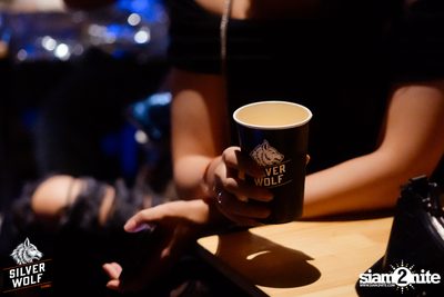 ภาพบรรยากาศงาน Silver Wolf presents Indigo Concert ที่ Viral Kaset — photo 135