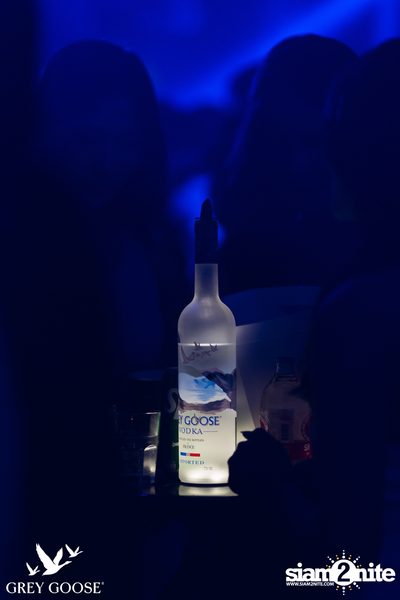 ภาพบรรยากาศงาน Grey Goose presents DJ Roots ที่ Milley Club — photo 22