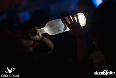ภาพบรรยากาศงาน Grey Goose presents DJ Roots ที่ Milley Club — photo 64