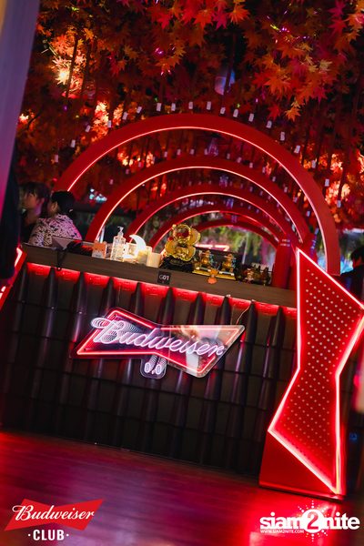 Budweiser Club presents Live Concert of Bowkylion at Hiyaku Izakaya — photo 1