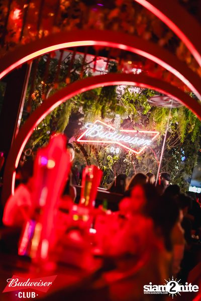 Budweiser Club presents Live Concert of Bowkylion at Hiyaku Izakaya — photo 77