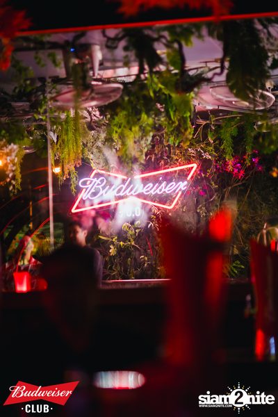 Budweiser Club presents Live Concert of Bowkylion at Hiyaku Izakaya — photo 160