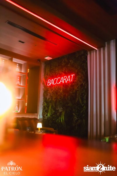 PATRÓN presents Madness x Hector Couto at Baccarat  — photo 12