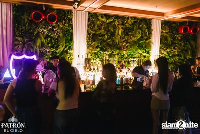 PATRÓN presents Madness x Hector Couto at Baccarat  — photo 13