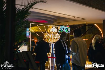 PATRÓN presents Madness x Hector Couto at Baccarat  — photo 38