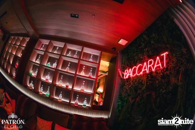 PATRÓN presents Madness x Hector Couto at Baccarat  — photo 78