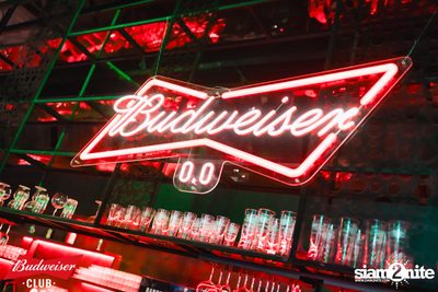 ภาพบรรยากาศงาน Budweiser Club presents Live Concert of Tattoo Colour ที่ Banpuen Rangsit — photo 10