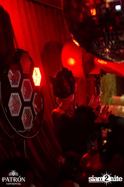 ภาพบรรยากาศงาน Patron Experiences presents BACCARAT x Sala ที่ Baccarat — photo 74