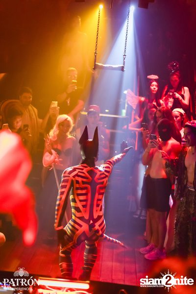 ภาพบรรยากาศงาน The Beast Halloween Party ที่ Sing Sing Theater — photo 186