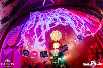 ภาพบรรยากาศงาน Patron Experiences presents Halloween Night at TRIBE Sky Beach Club — photo 12