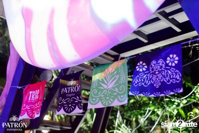 ภาพบรรยากาศงาน Patron Experiences presents Halloween Night at TRIBE Sky Beach Club — photo 13